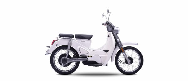 Motron Cubertino