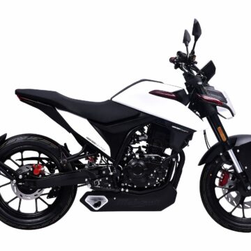 drakon_white