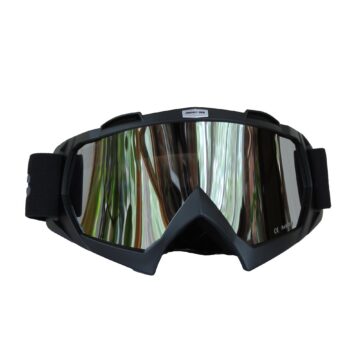 ALPINE GOGGLES